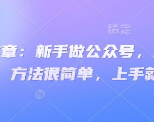 2025新手做公众号月涨数千粉实操方法 易上手附变现思路-雨叶虚拟资源网
