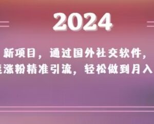 2024海外社媒涨粉引流项目 实操变现月入过万玩法解析-雨叶虚拟资源网