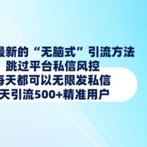2025年1月最新小红书私信引流方法 跳过风控日引500+精准用户-雨叶虚拟资源网
