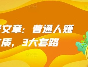 普通人赚钱底层逻辑解析 草根逆袭财富跃升3大实用套路-雨叶虚拟资源网