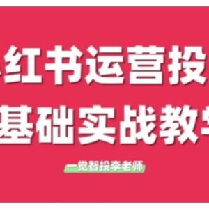 小红书广告投放从0到1实战课 0基础可掌握多平台投流技巧-雨叶虚拟资源网