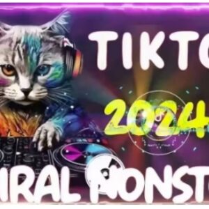 TikTok东南亚小店从入门到精通 跨境运营全流程实操教程-雨叶虚拟资源网