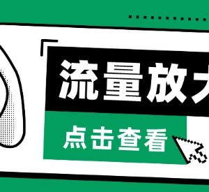 抖音公私域变现全流程玩法 Soul私域引流实操技巧指南-雨叶虚拟资源网