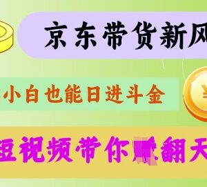 京东短视频带货代运营实操秘籍 零基础可上手的增收方法-雨叶虚拟资源网