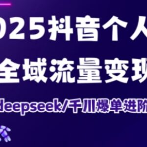 2025抖音个人IP打造 Deepseek千川爆单全域流量变现进阶课-雨叶虚拟资源网