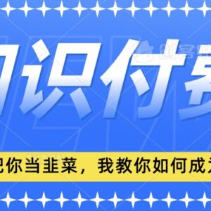 2024小白入门知识付费全流程教程 从思维转变到落地实操教学-雨叶虚拟资源网