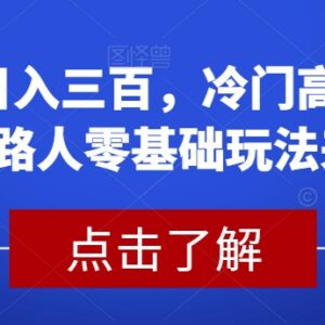 2024适合普通人的零基础冷门高需求消除路人玩法 稳定日入300-雨叶虚拟资源网