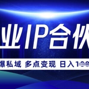 云帆创业IP合伙人打造3.0教程 0基础学网创实现月入过万-雨叶虚拟资源网