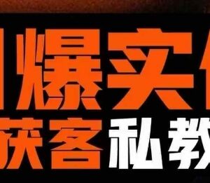 实体AI模板引流私教班详解 从0到1掌握实体短视频获客全流程-雨叶虚拟资源网