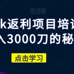 cashback返利项目实操培训 新手可落地月入3000刀的完整玩法-雨叶虚拟资源网