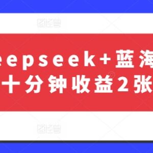 基于Deepseek的蓝海降重项目实操教程 低门槛可快速获客变现-雨叶虚拟资源网