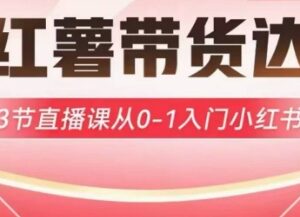 小红书达人带货启航计划 3节直播课带你从0到1入门小红书带货-雨叶虚拟资源网