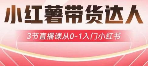 小红书达人带货启航计划 3节直播课带你从0到1入门小红书带货