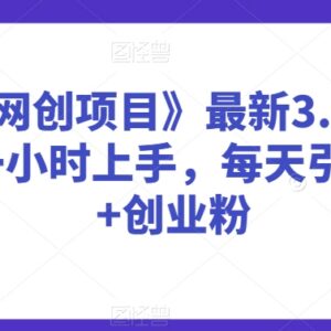 抖音网创项目3.0实操攻略 小白引流创业粉玩法全解析-雨叶虚拟资源网