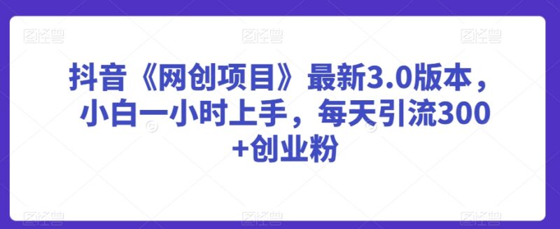 抖音网创项目3.0实操攻略 小白引流创业粉玩法全解析