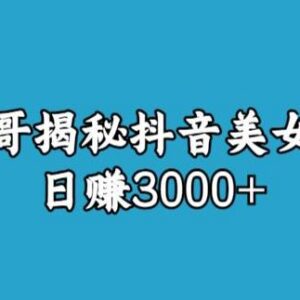 抖音美女号怎么运营?引流渠道及变现玩法全拆解-雨叶虚拟资源网