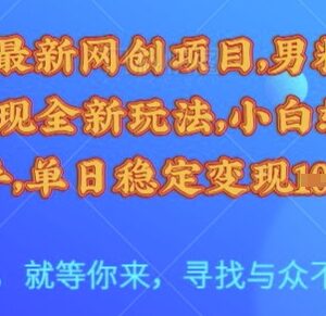 2025年男粉自动变现全新玩法 小白可上手的低门槛网创项目教程-雨叶虚拟资源网