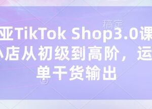东南亚TikTok Shop3.0系统课程 从入门到高阶全链路运营出单实操干货-雨叶虚拟资源网