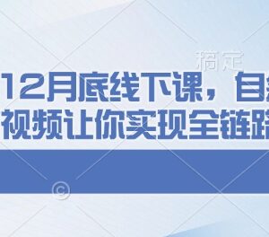 千川运营12月线下课资源 自然流付费短视频全链路爆单教程-雨叶虚拟资源网