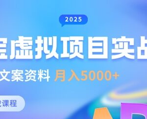 淘宝虚拟项目垂直玩法教程 新手卖文案资料月入5k实操攻略-雨叶虚拟资源网