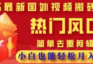 2025TikTok风景视频搬运副业 零基础高收益实操玩法指南-雨叶虚拟资源网