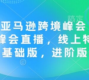 2024年12月亚马逊跨境峰会直播及初进阶特训营课程合集-雨叶虚拟资源网