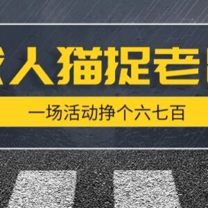 成人版猫捉老鼠线下项目拆解 单场盈利数百元实操教程-雨叶虚拟资源网