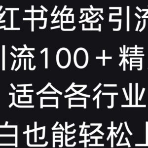 小红书全行业通用引流技巧 小白可上手日引100+精准流量-雨叶虚拟资源网