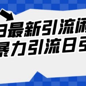 2023闲鱼创业粉引流实操方法 日引200+操作全解析-雨叶虚拟资源网