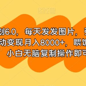 男粉计划6.0实操教程 零基础引流精准男粉被动变现全攻略-雨叶虚拟资源网