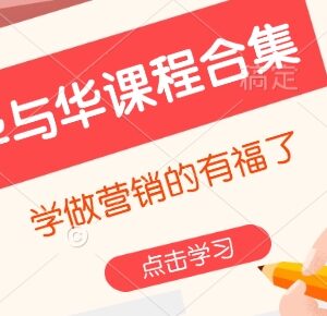 华与华全体系营销课程合集 品牌运营从业者学习参考资料-雨叶虚拟资源网