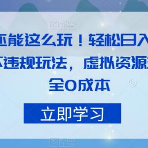 零成本合规美女号变现玩法分享 新手易操作可轻松日入400+-雨叶虚拟资源网