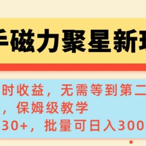 快手磁力聚星新玩法详解 可查实时收益的单机批量实操教程-雨叶虚拟资源网