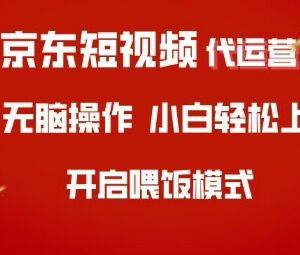 2024京东短视频代运营玩法解析 零经验小白可轻松上手实操-雨叶虚拟资源网