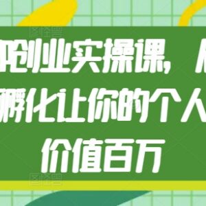 知识IP创业实操课程 从0到1孵化百万价值个人品牌全攻略-雨叶虚拟资源网