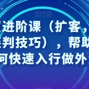 凤姐外贸进阶课 外贸入行获客社媒运营沟通谈判全流程教程-雨叶虚拟资源网