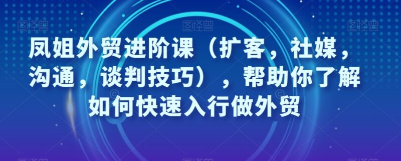 凤姐外贸进阶课 外贸入行获客社媒运营沟通谈判全流程教程