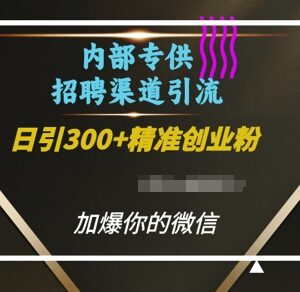 利用招聘平台引流创业粉实操方法 日引300+精准粉全流程教程-雨叶虚拟资源网