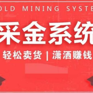 采金系统2.0私域运营全攻略 全链路提升成交转化与卖货业绩-雨叶虚拟资源网