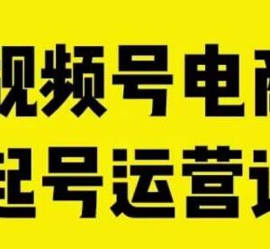 视频号电商自然流起号运营课 新人0-1开店选品投放全指南-雨叶虚拟资源网