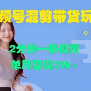 视频号混剪单月变现2W实操玩法 附行业趋势深度付费分析-雨叶虚拟资源网