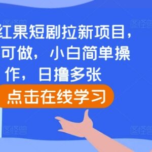 2024快手红果短剧拉新项目实操教程 0粉可做小白易上手-雨叶虚拟资源网