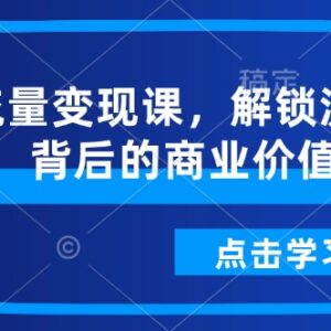 流量变现系统课程学习 掌握流量转化方法解锁商业价值-雨叶虚拟资源网