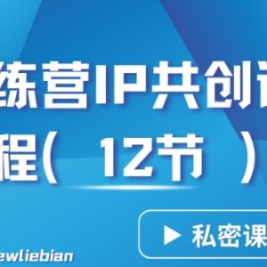林枫IP共创导师训练营3.0 12节私密实操课卖项目核心秘诀解析-雨叶虚拟资源网