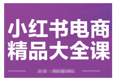2025小红书电商运营全教程 从开店选品到引流爆单实操教学