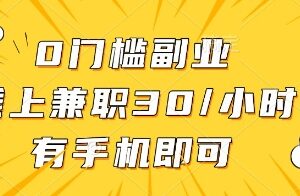 0门槛手机可做线上批改作业兼职 时薪30元的正规副业项目详解-雨叶虚拟资源网