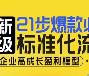 21步电商爆款打造标准化流程 助力搭建企业高成长盈利模型-雨叶虚拟资源网