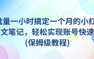 AI批量制作小红书爆款图文教程 1小时搞定一月内容助力账号涨粉-雨叶虚拟资源网