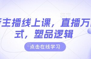 2025最新主播线上课程 含直播万能公式及塑品逻辑话术技巧-雨叶虚拟资源网