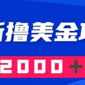 国内爽文搬运至海外网文平台赚美金 月入2000+美金项目全攻略-雨叶虚拟资源网